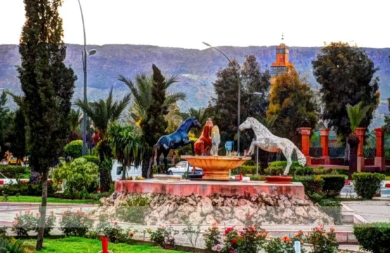 Khénifra: Entre Culture Amazighe, Délices Culinaires, et Aventures en Plein Air